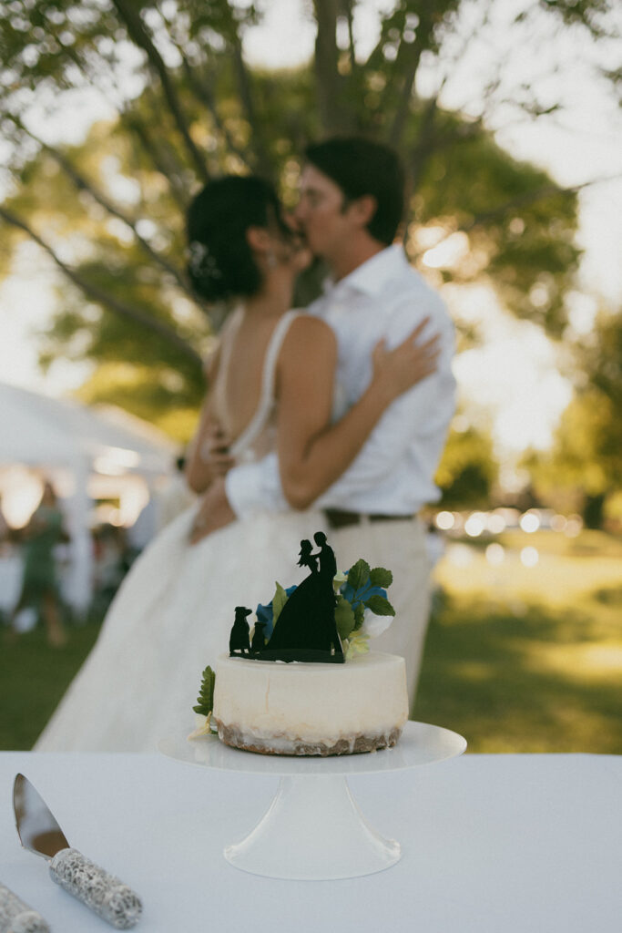 Bride and groom kissing behind wedding cake 